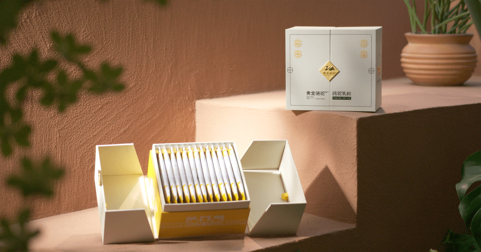 定位小众高端乳粉，AG尊龙凯时推出驼奶品牌“黄金骆驼+”，角逐乳品新市场！